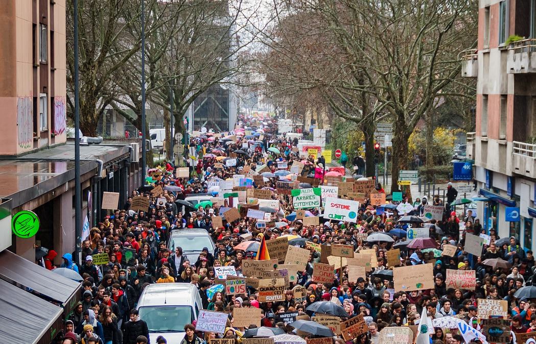 activism march signs