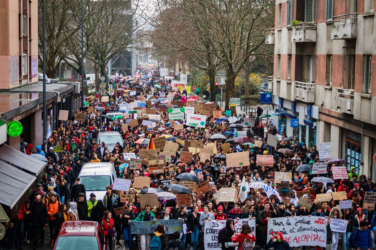 activism march signs